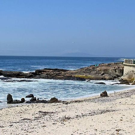 Blue Waters Studio With Sea Views From Balcony Appartement Kaapstad Buitenkant foto